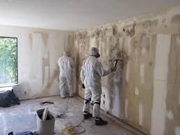 Best Water Damage & Mold Remediation  in Whitefish Bay, WI